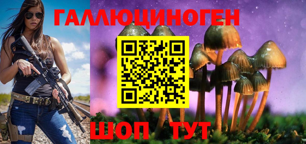 Псилоцибиновые грибы мицелий Камень-на-Оби